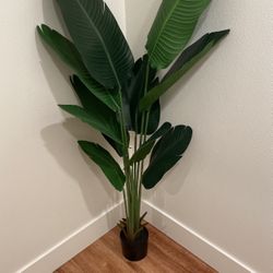 Fake Plant