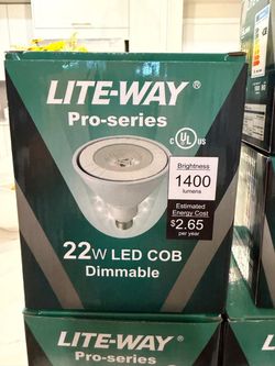Lite-Way Pro-Series 22W LED COB Dimmable Bulb