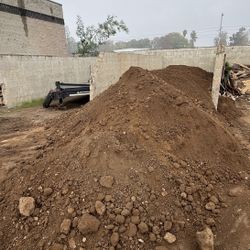 Tierra limpia completamente GRATIS y el envío también es GRATIS!!!