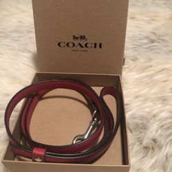 Coach dog leash