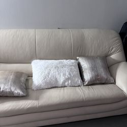 Two Couches Sofa And Loveseat 