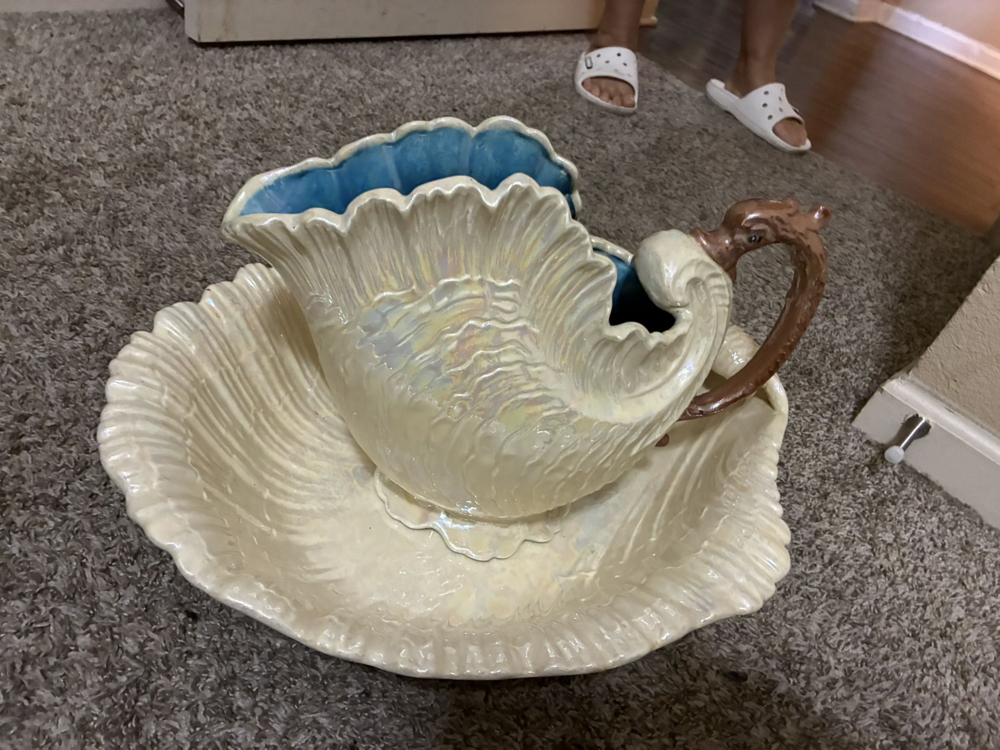 Huge Excellent Shape Shell Type