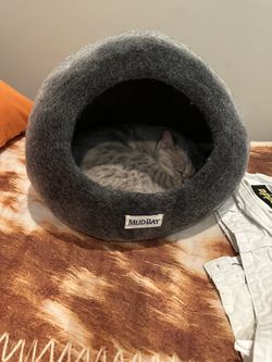 Mud Bay Cat Hood Bed