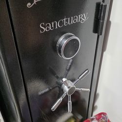 Large Sanctuary Safe 6.0 Cubic Cu Ft Electronic Lock Fire Proof