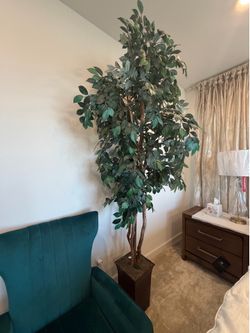 7ft artificial ficus tree