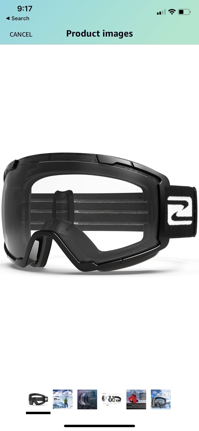 Adult Ski Goggles