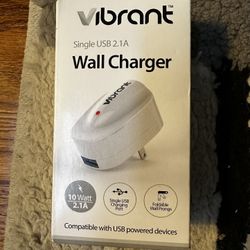 Vibrant Wall Charger
