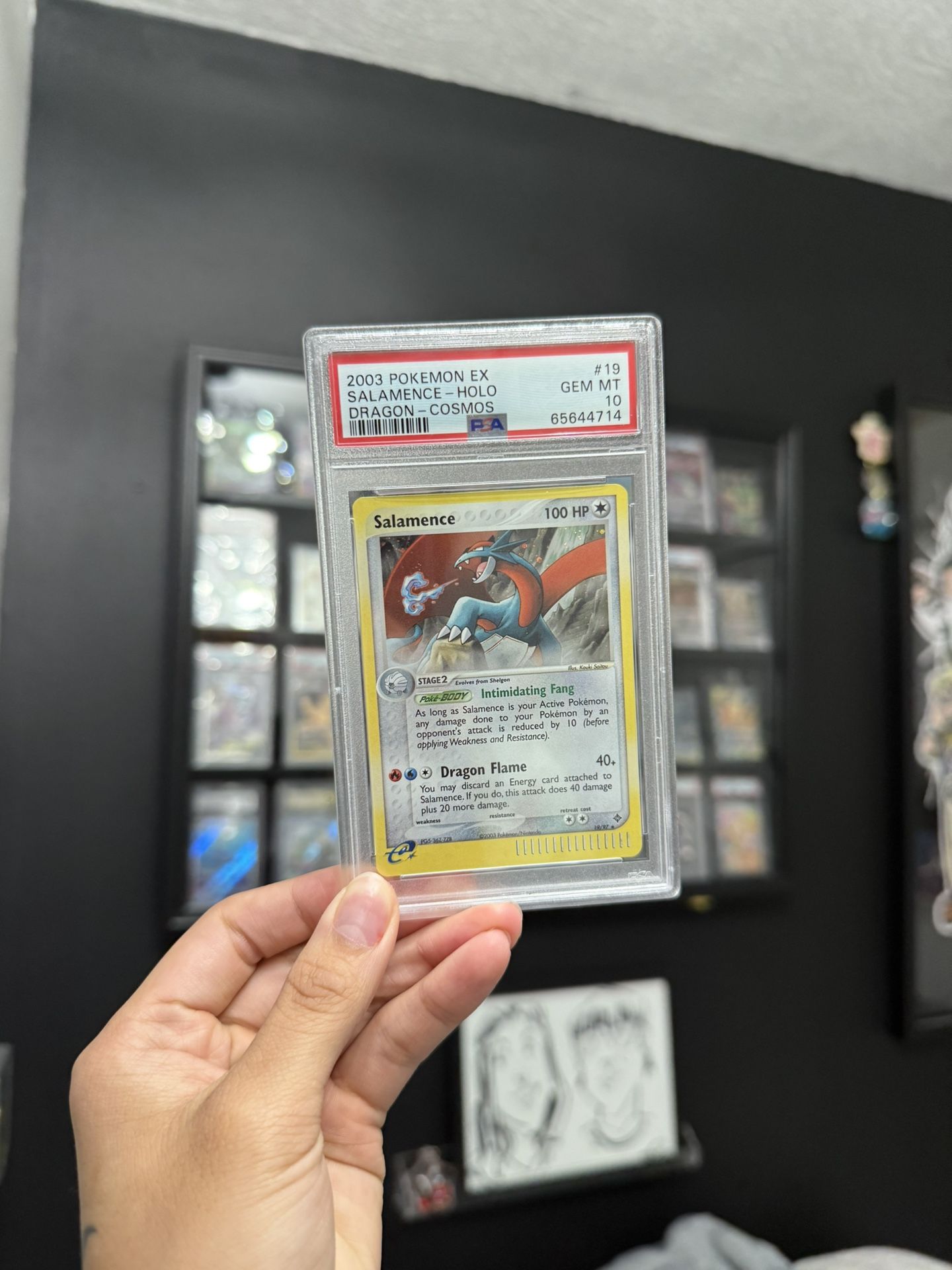 Salamence Holo Pokemon TCG 2003 Dragon Cosmos 19/97 PSA 10 GEM MT