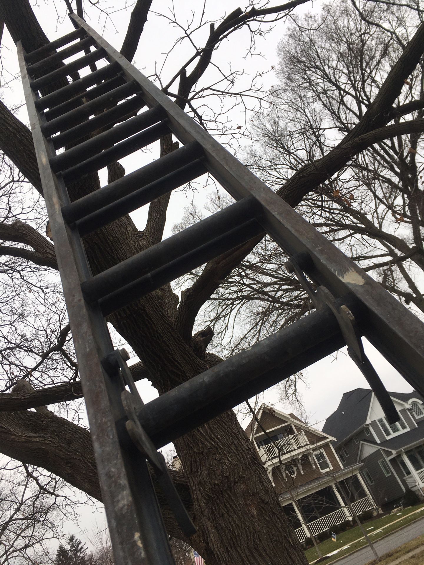 24’ Magnesium Extension Ladder