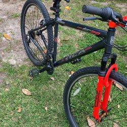 Bca 29 inch on sale mountain bike