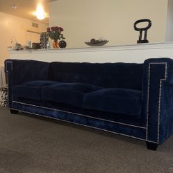 Royal Blue Sofa 