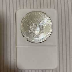 2013-(S) Silver Eagle