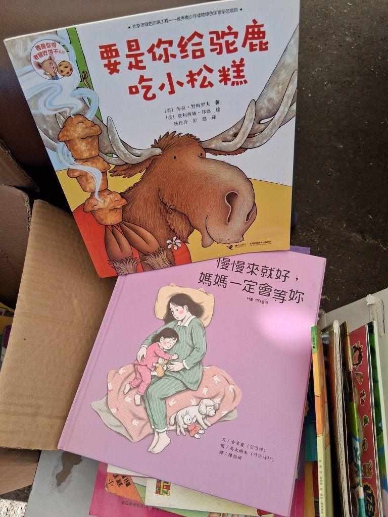 Children's Chinese & Korean Book Lot