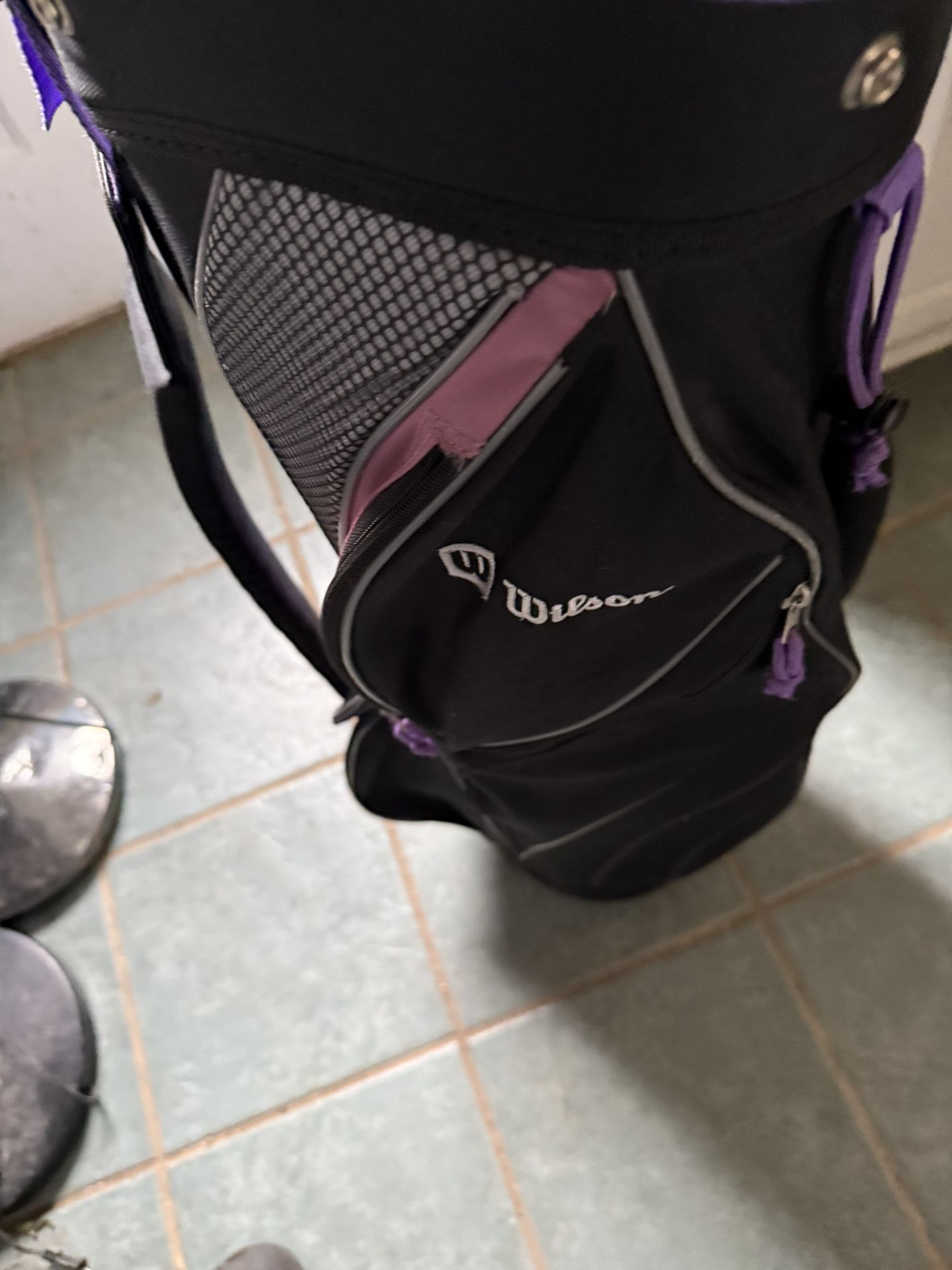 Wilson Golf Bag