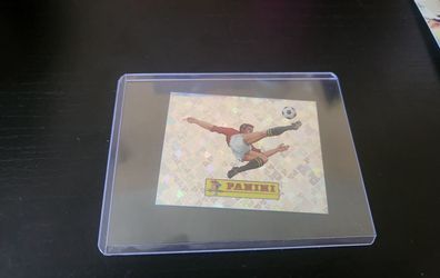Panini 2026