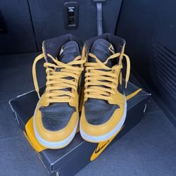 Pollen Jordan 1