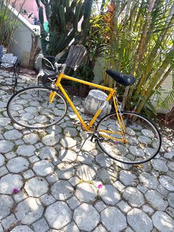 Vintage TAKARA 12 Speed Engles Racer Bike