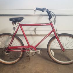 Diamond Back Sand Storm Mnt Bike