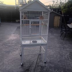 Bird Cage 