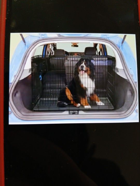 Dog XL Cage!