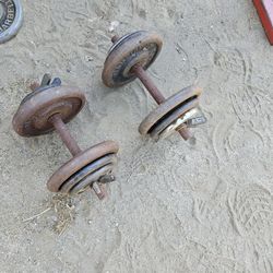Dumbbells Weights 
