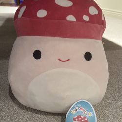 Squishmallow Malcolm