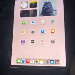iPad Pro 256gb 12.9 Inch 