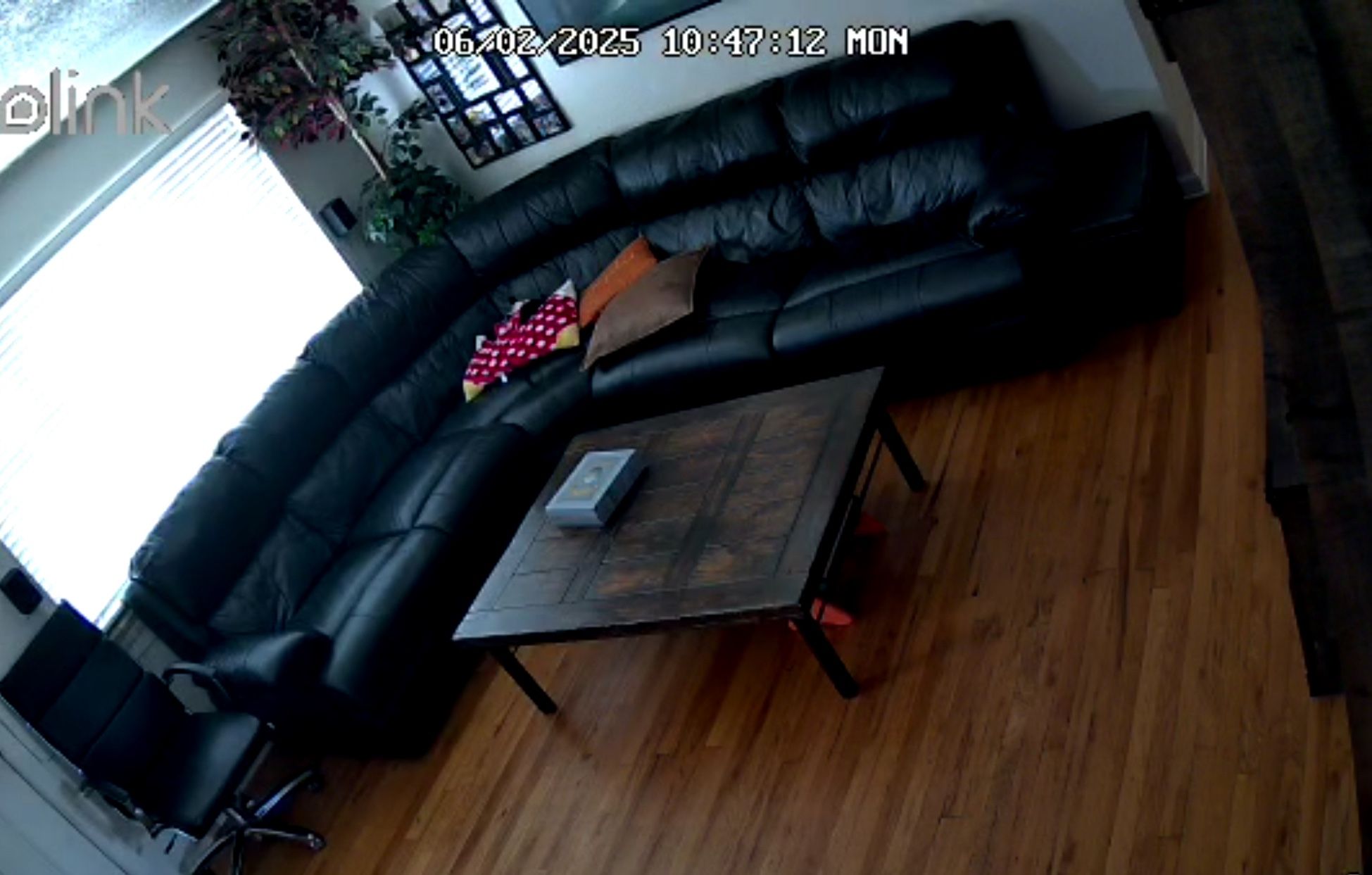 Black Leather Couch