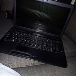 Toshiba Laptop 