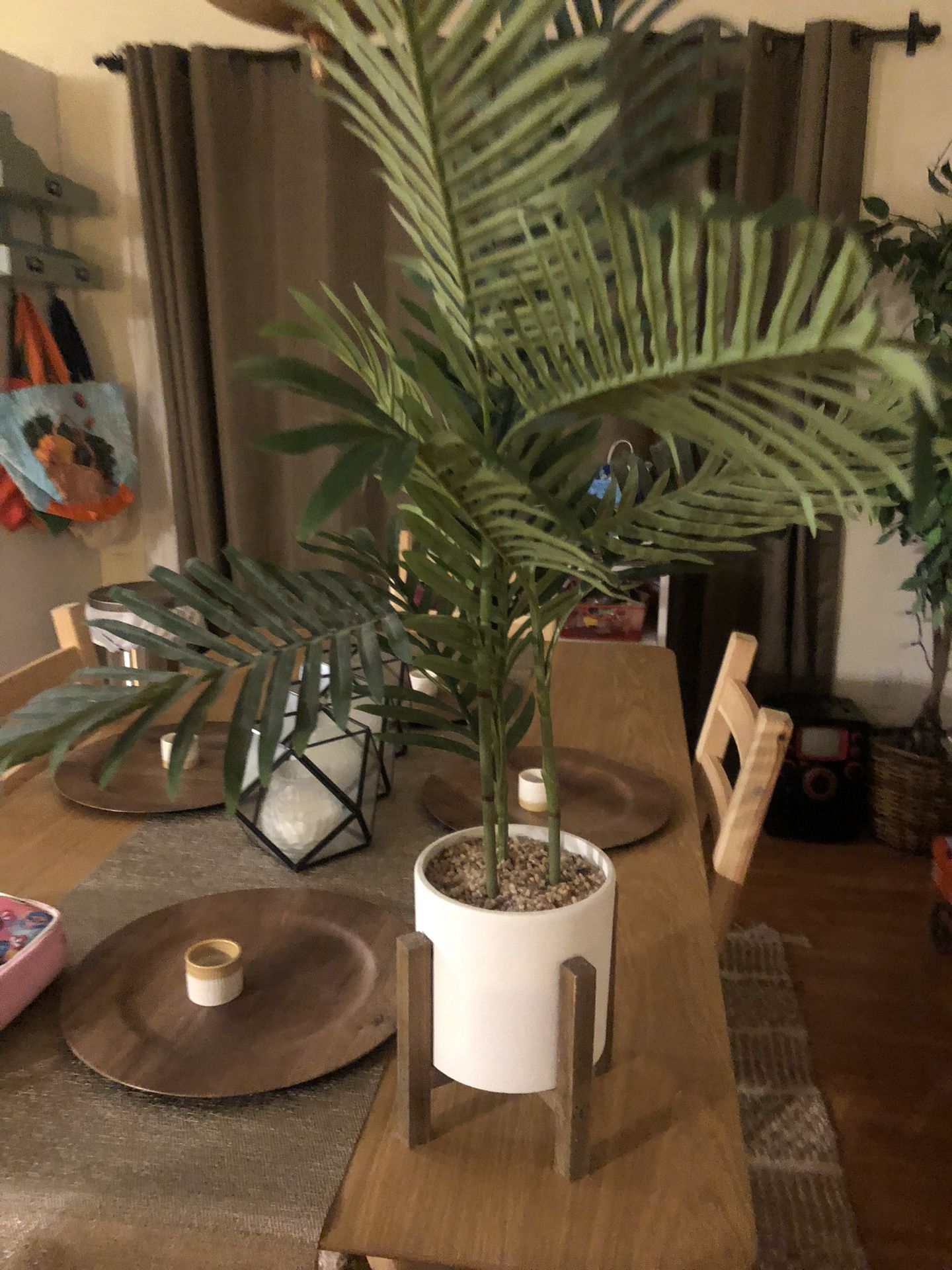 Plant