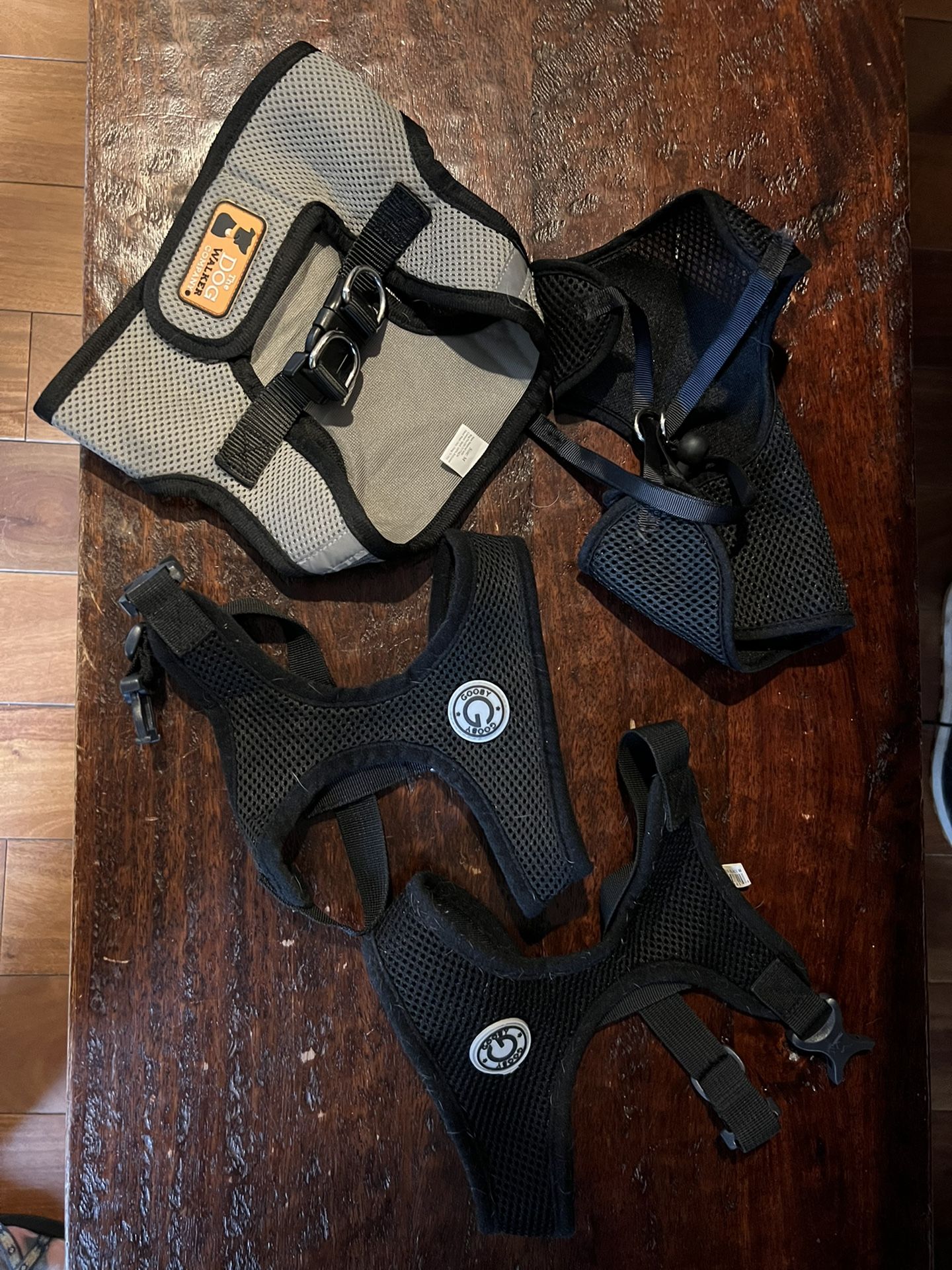 Assorted Dog Body Collars