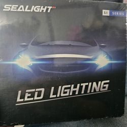 1 Pair 9004 LED Bulbs