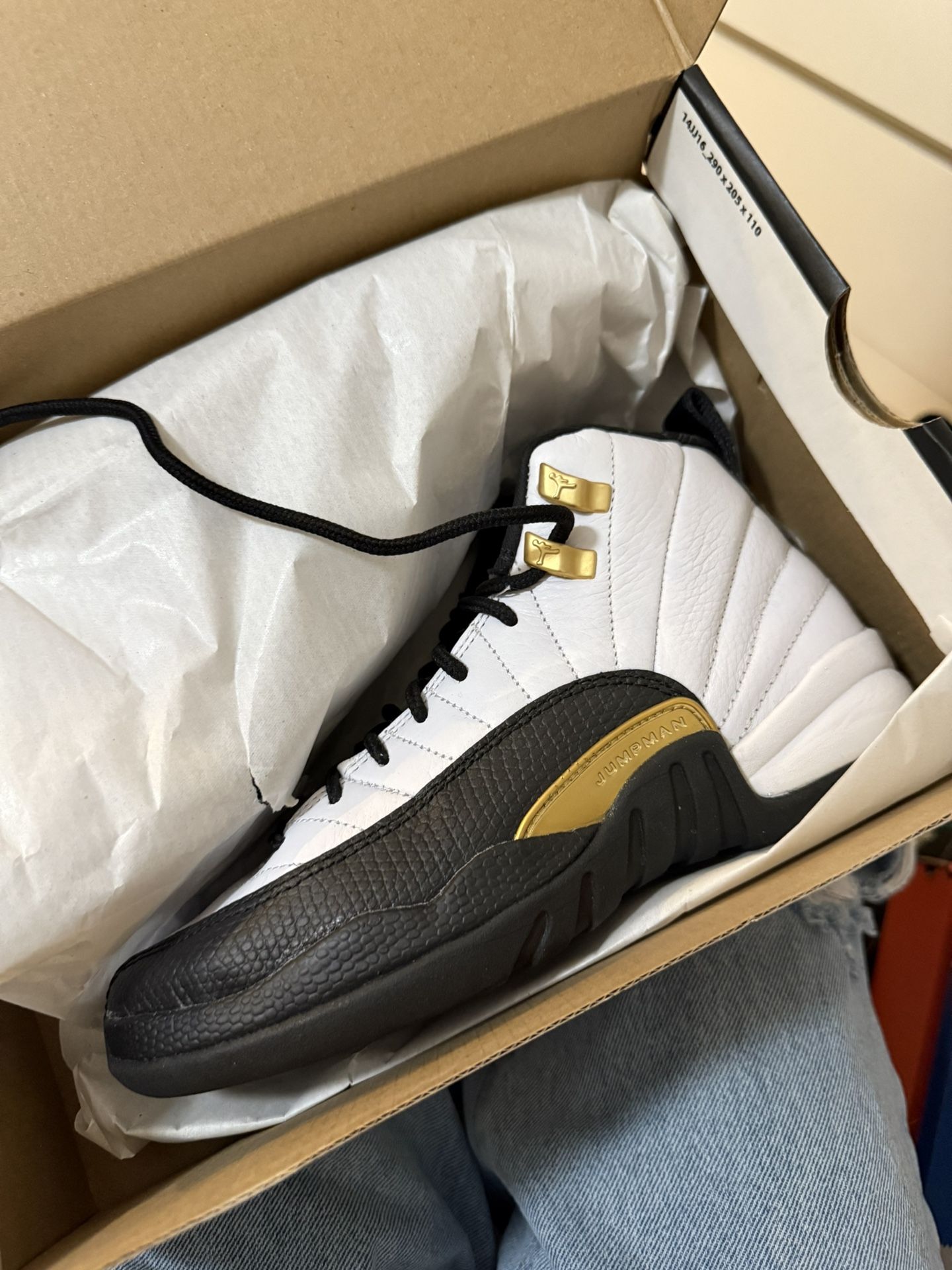 Jordan 12s