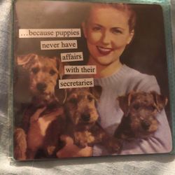 Anne Taintor Magnets