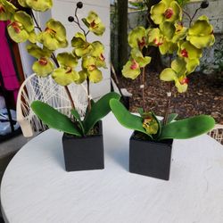 Set Of 2 Orchid Artificial Plants 