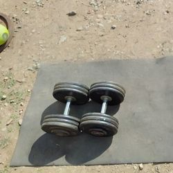 Dumbbells 2x65lbs