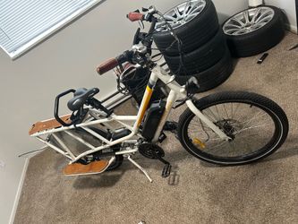 Radwagon 3 Electric Bicycle