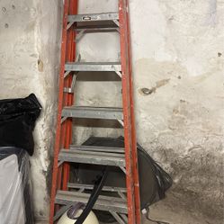 6ft Ladder 
