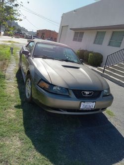 2001 MUSTANG