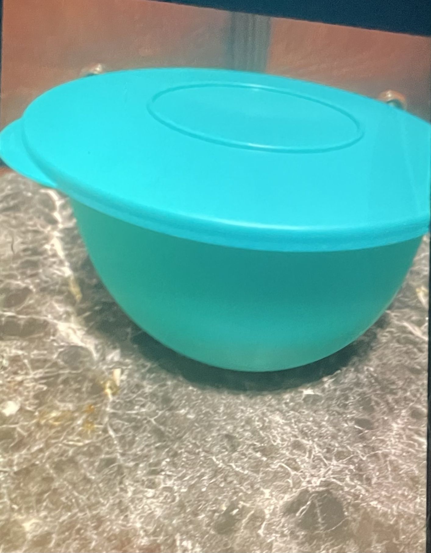 Bowl For Food