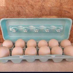 🥚 🥚 🥚 Fresh Unwashed Duck Eggs 🥚 🥚 🥚 