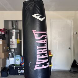 Ever Last Punching Bag 