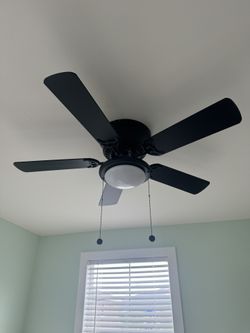Black 44” Fan