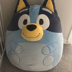 Bluey squish mellow 20”