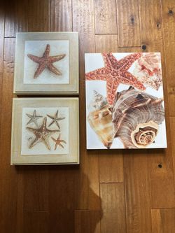 Sea Shell Wall Art