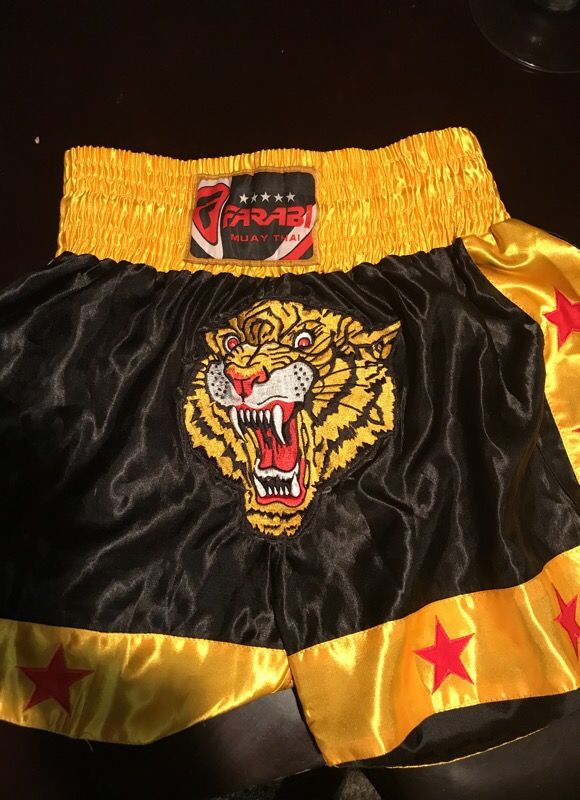 Muay Thai/Kickboxing shorts