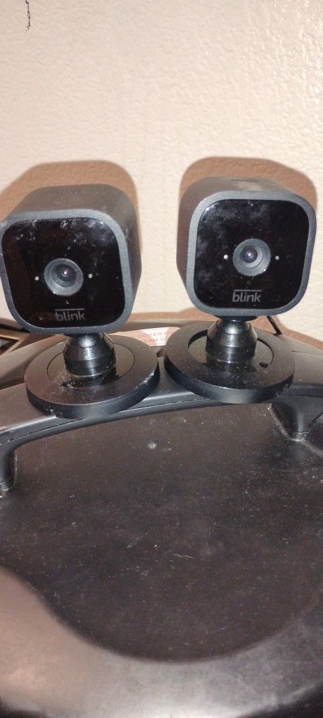 Security Video Camera Blink