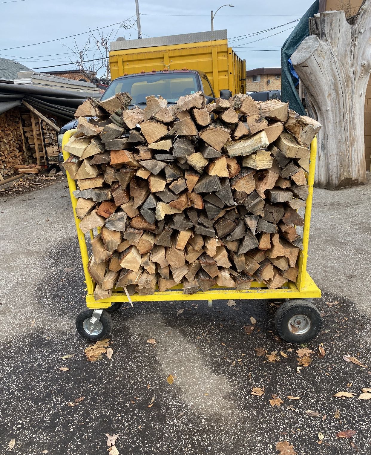 Firewood
