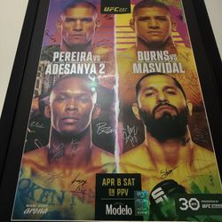 UFC 287 Signed And Framed 