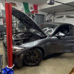 Vinyl Wraps 